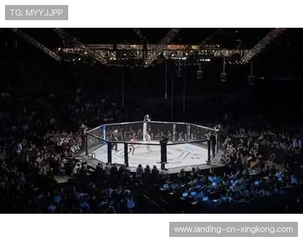 MMA选手多元训练体系提升比赛观赏度